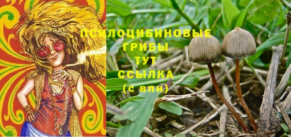 мдма Пересвет