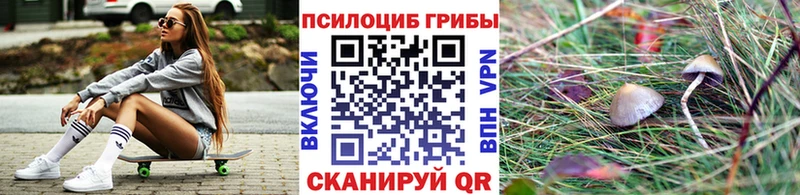 закладки  Арск  darknet как зайти  Галлюциногенные грибы GOLDEN TEACHER 